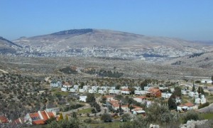 View
